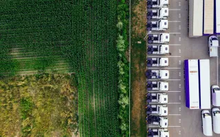 To the right, there is a plantation field, while to the left, a parking lot with white trucks is located.