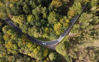 A road with a car driving through the forest