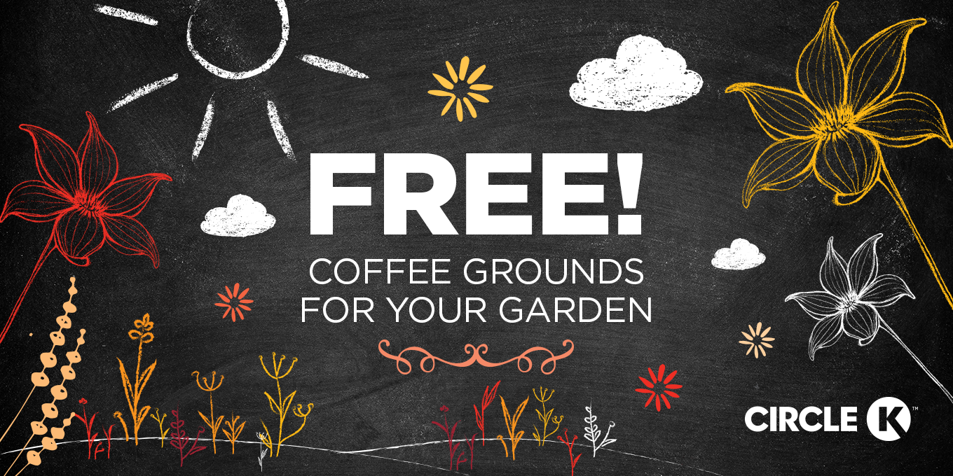 FREE! Coffee Grounds For Your Garden.